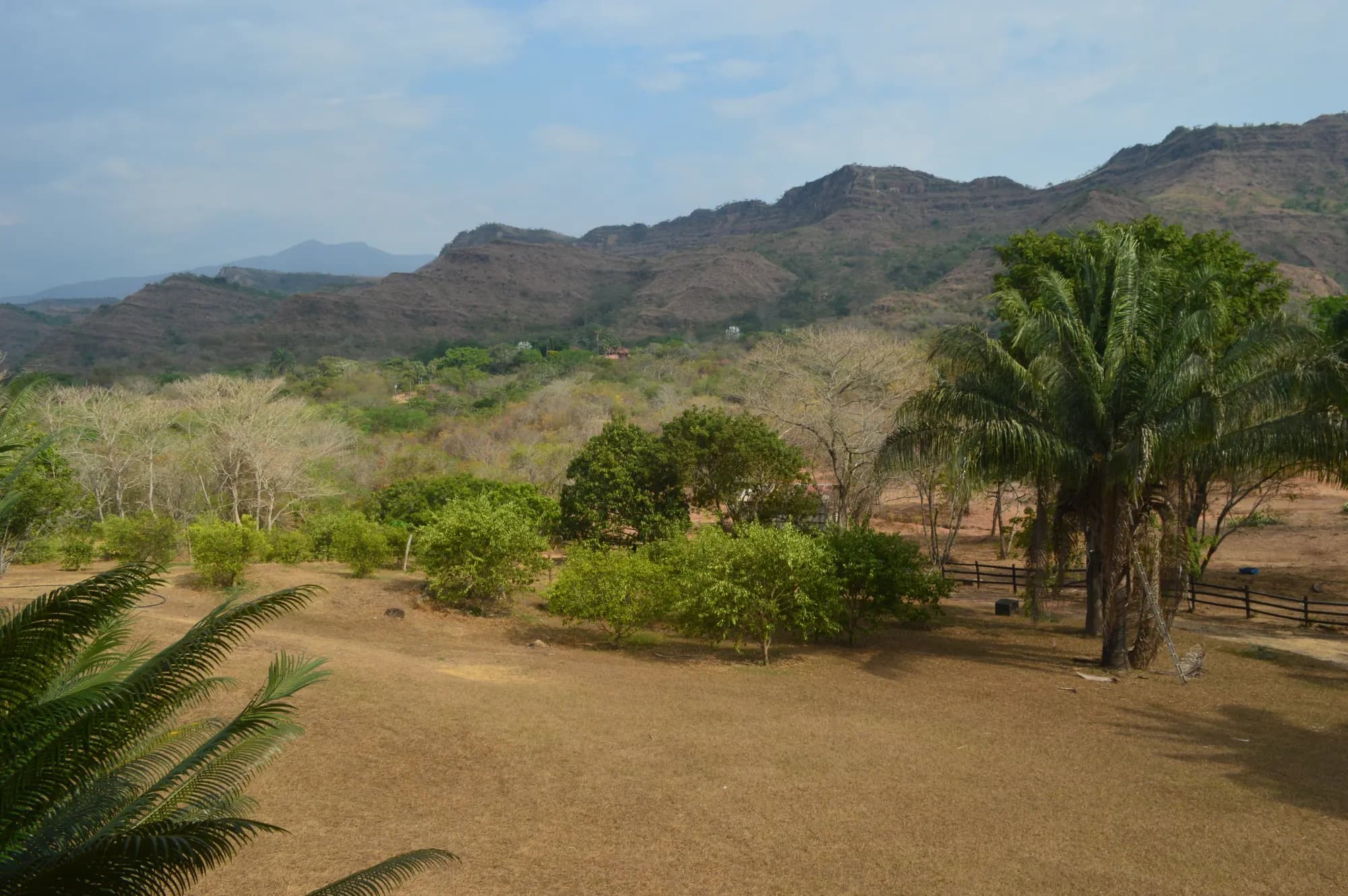 Panorama de las montañas y las palmas que rodean a Finca Cactus, en Nilo